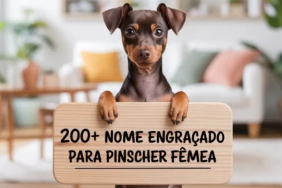 Nome Engraçado Para Pinscher Fêmea